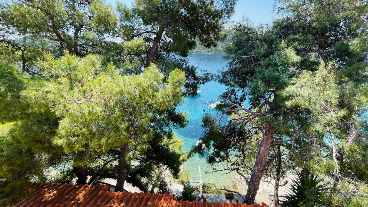 Lovely Apartments On The Private Beach - Island Korcula Prizba Exterior foto